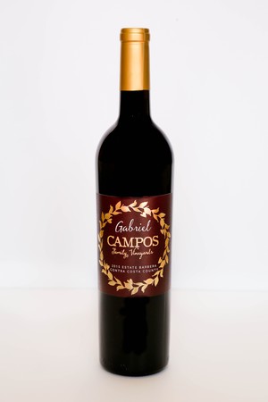2016 Gabriel Barbera