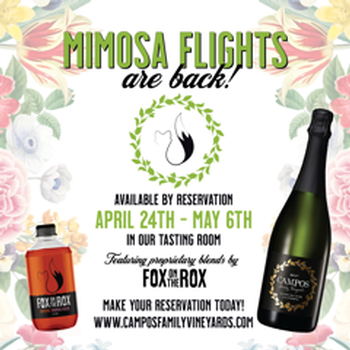 Mimosa Flight