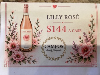 Lilly Case Sale